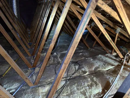 Ceiling insulation batts and cables between timber roof trusses