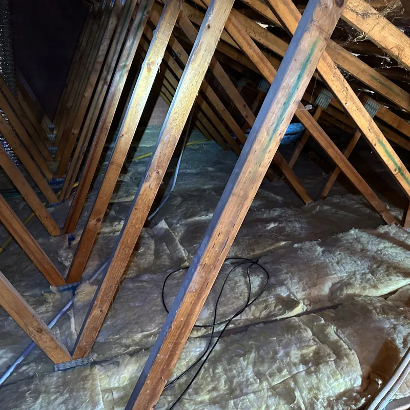 Roof space with ceiling insulation batts laid between timber trusses